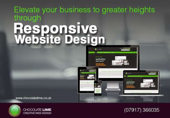 Chocolate lime- an affordable web design company